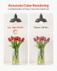 VEVOR 6 Pack Edison Bulbs LED, A19 Vintage Edison Light Bulbs, 4.5W Dimmable 450 Lumens, 2700K Warm White, E26 Base LED Filament Bulb